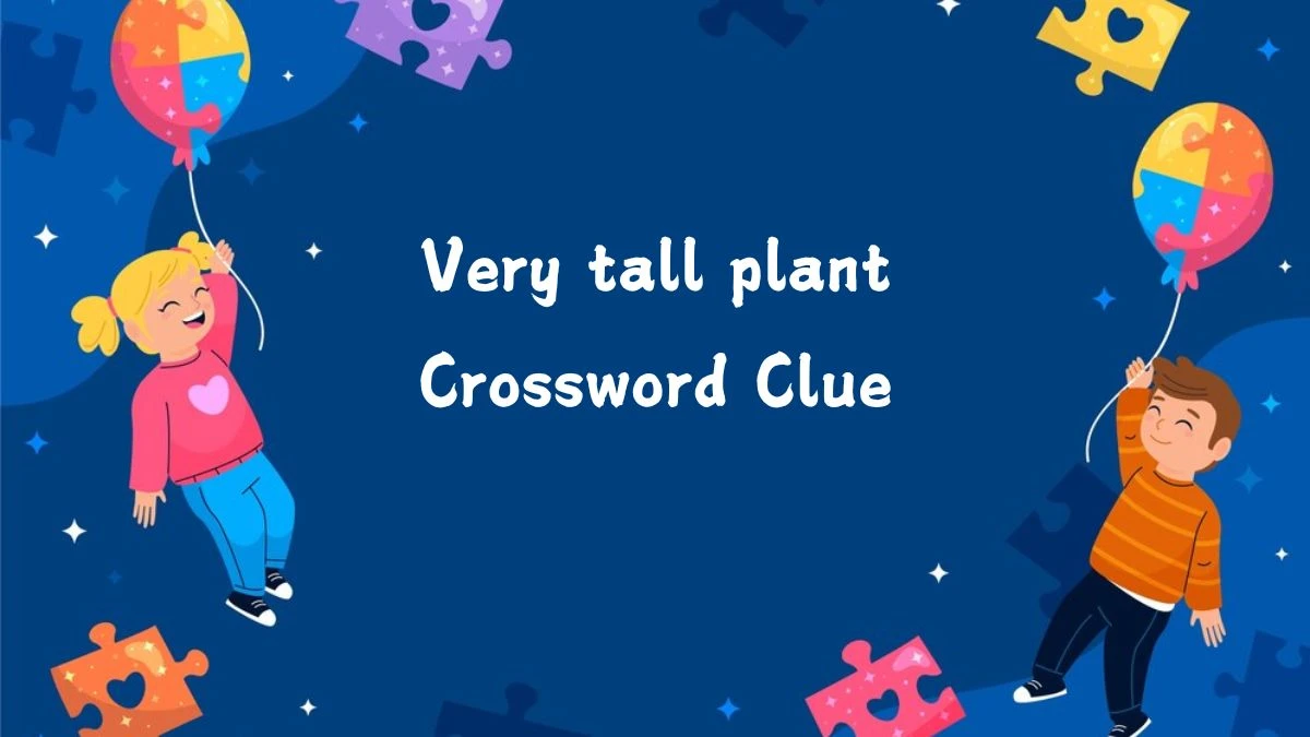 Irish Daily Mail Quick Very tall plant 9 Letters Crossword Clue Puzzle Answers from September 09, 2024