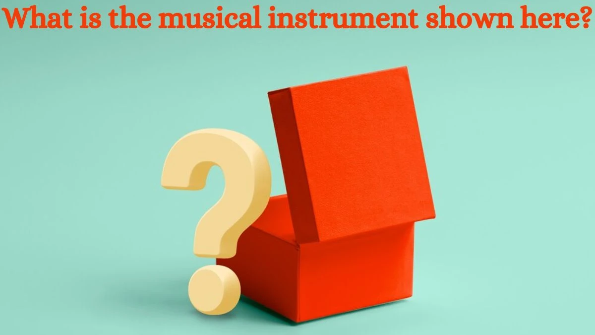 What is the musical instrument shown here? Amazon Quiz Answer Today September 09, 2024