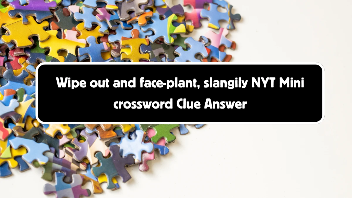 Wipe out and face-plant, slangily NYT Crossword Clue