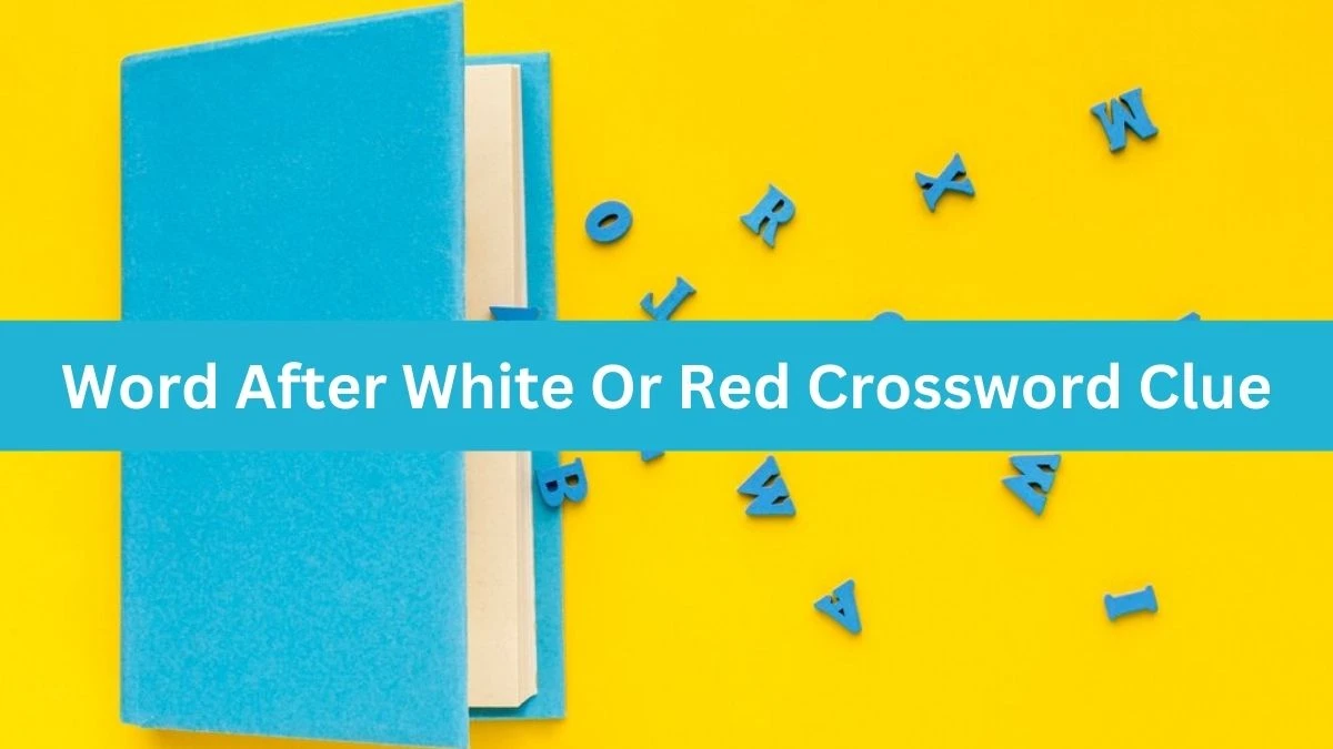 Word After White Or Red NYT Crossword Clue Puzzle Answer on September 02, 2024