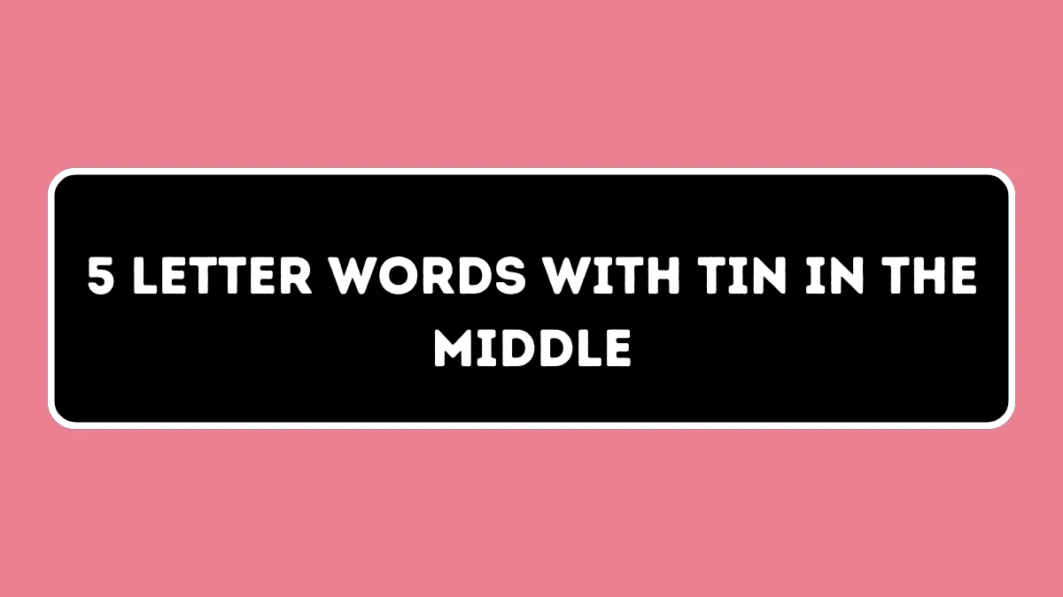 5 Letter Words with TIN in the Middle All Words List