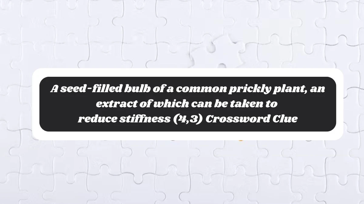 A seed-filled bulb of a common prickly plant, an extract of which can be taken to reduce stiffness (4,3) Crossword Clue Puzzle Answer from October 28, 2024