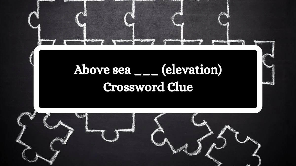 Above sea ___ (elevation) Daily Themed Crossword Clue Puzzle Answer from October 16, 2024