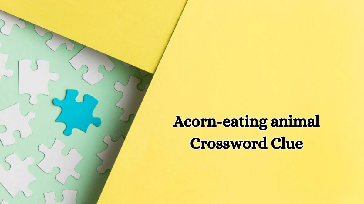 Acorn-eating animal Daily Commuter Crossword Clue Puzzle Answer from October 18, 2024