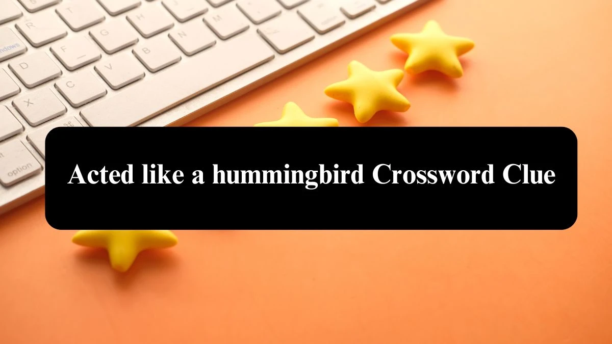 Acted like a hummingbird 7 Little Words Puzzle Answer from October 23, 2024