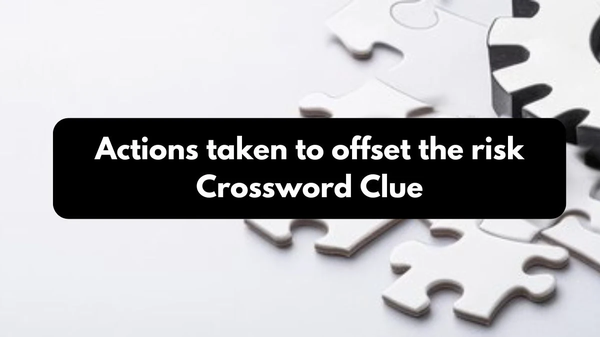 Actions taken to offset the risk Crossword Clue Puzzle Answer from October 26, 2024