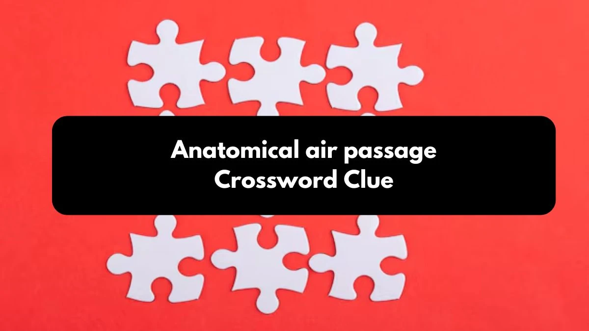 Anatomical air passage Daily Commuter Crossword Clue Answers on October 24, 2024