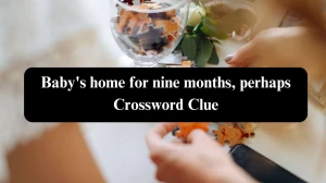 Baby's home for nine months, perhaps Daily Themed Crossword Clue Puzzle Answer from October 23, 2024