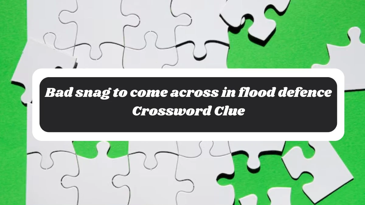 Bad snag to come across in flood defence Crossword Clue Puzzle Answer from October 28, 2024