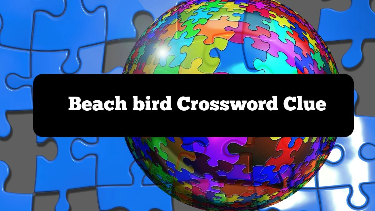 NYT Beach bird Crossword Clue Puzzle Answer from October 07, 2024