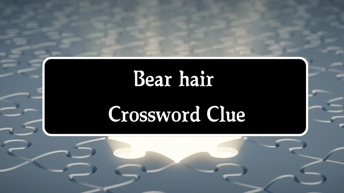 NYT Bear hair (3) Crossword Clue Puzzle Answer from October 01, 2024