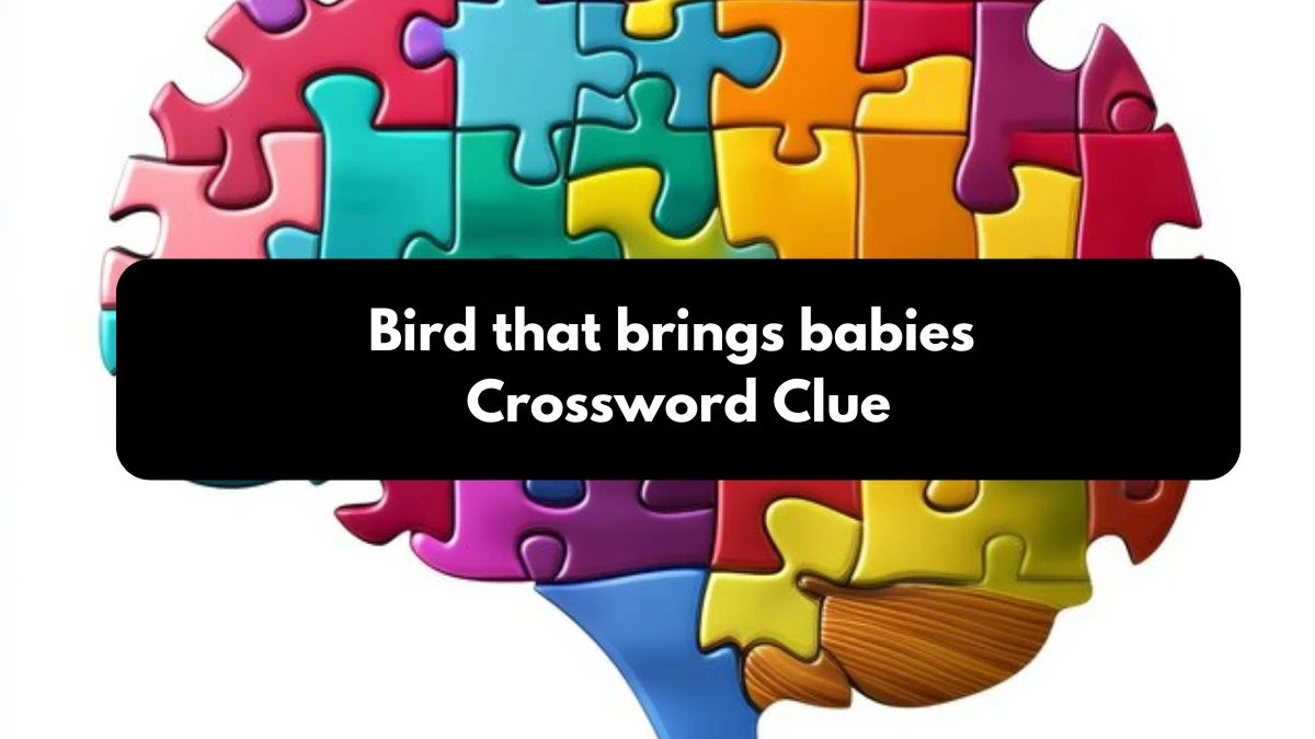 Bird that brings babies Daily Commuter Crossword Clue Puzzle Answer from October 25, 2024