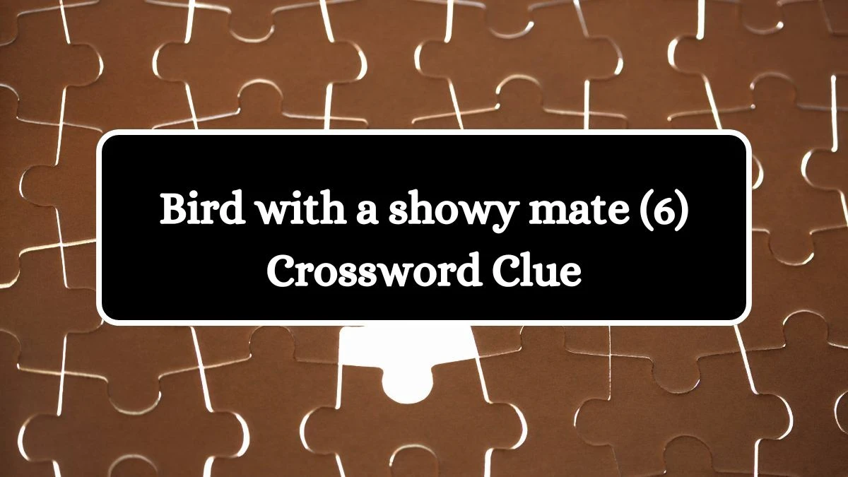 Bird with a showy mate NYT Crossword Clue Puzzle Answer on October 09, 2024