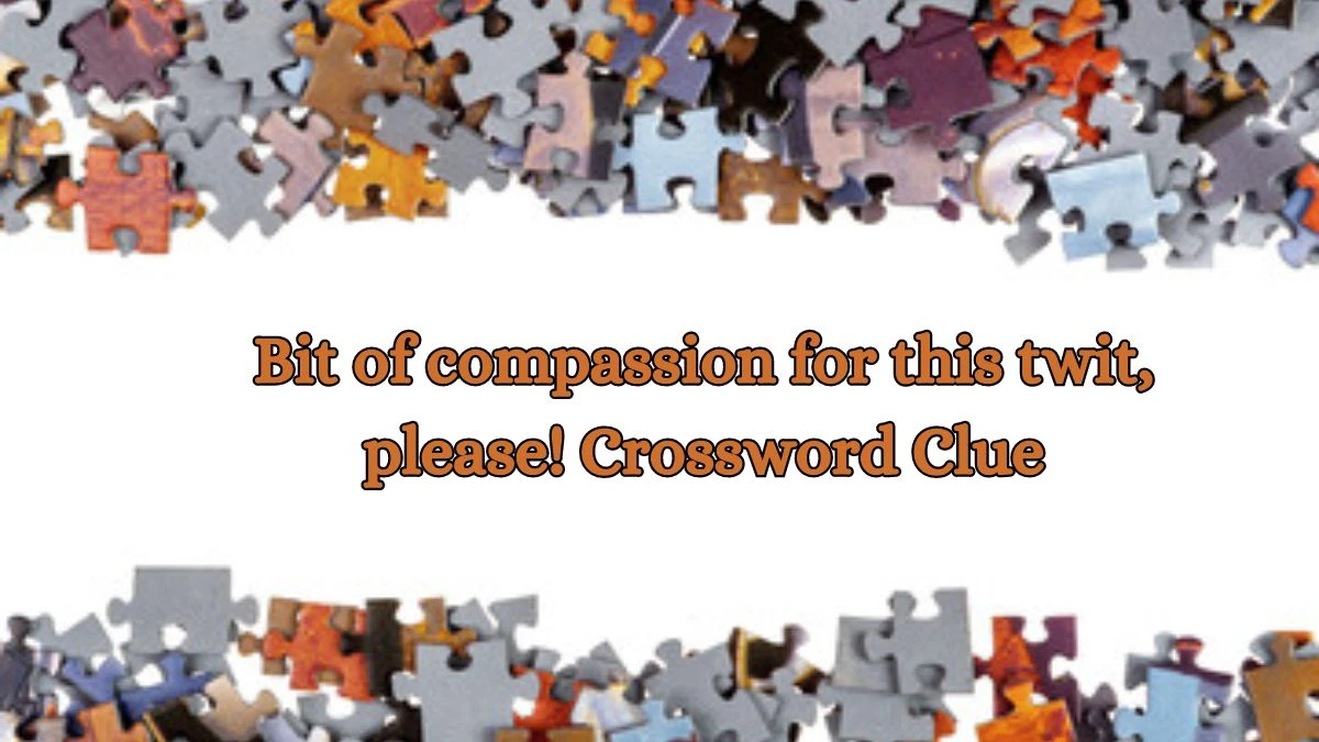 Bit of compassion for this twit, please! Crossword Clue Puzzle Answer from October 15, 2024