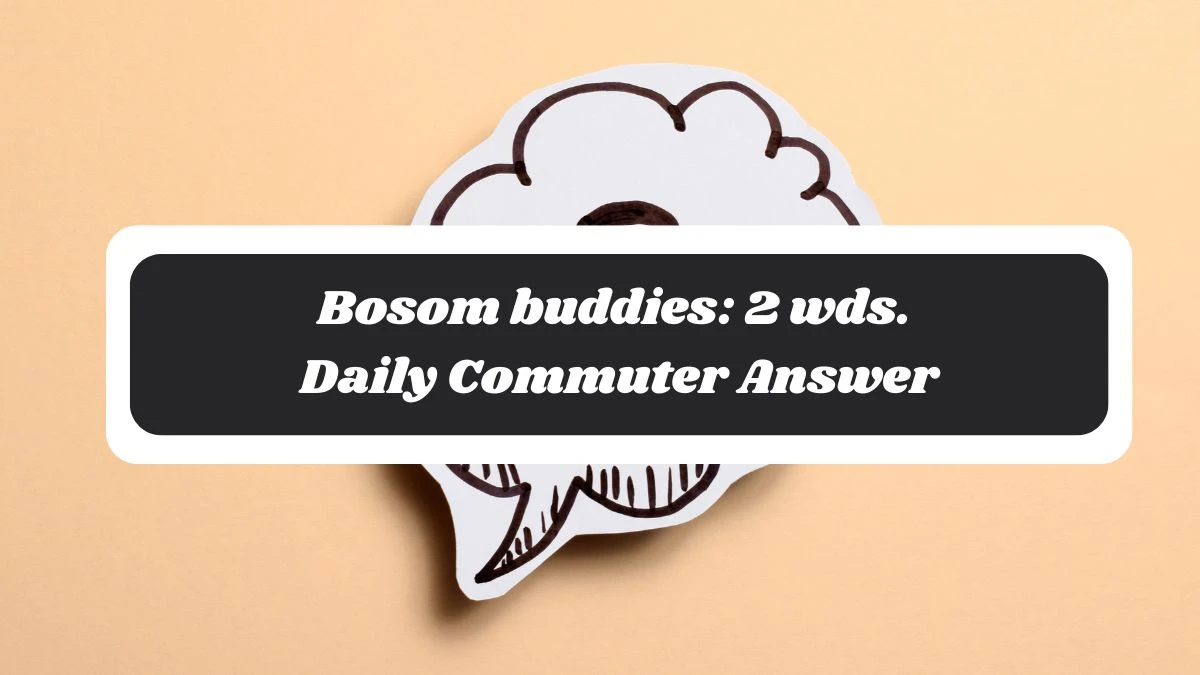 Bosom buddies: 2 wds. Daily Commuter Answer