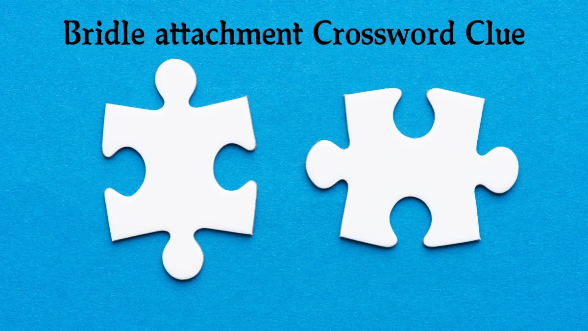 Bridle attachment Daily Commuter Crossword Clue Answers on October 22, 2024