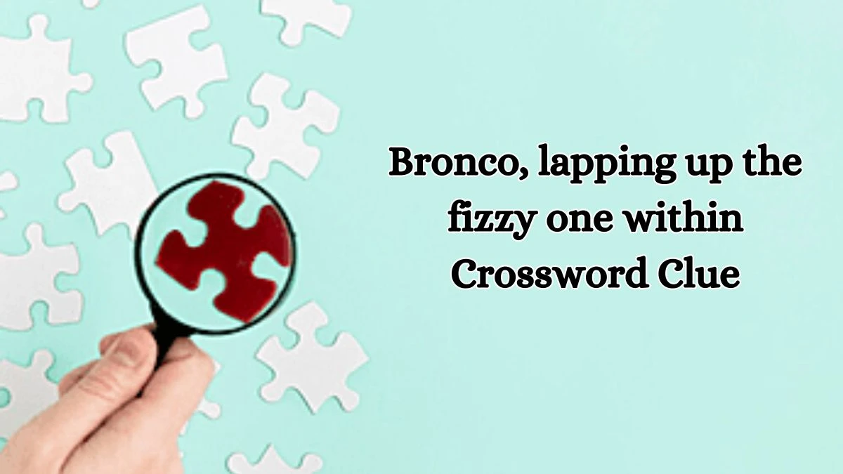 Bronco, lapping up the fizzy one within Crossword Clue Puzzle Answer from October 19, 2024