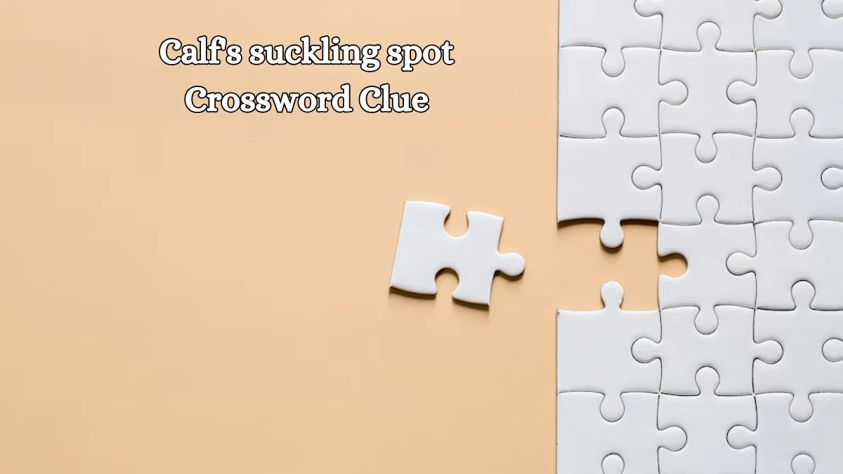 LA Times Calf's suckling spot Crossword Clue Puzzle Answer from October 17, 2024