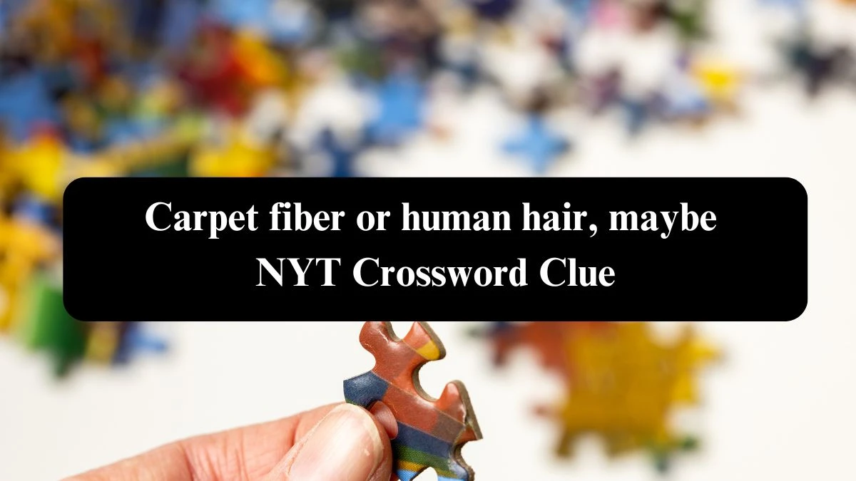 Carpet fiber or human hair, maybe NYT Crossword Clue