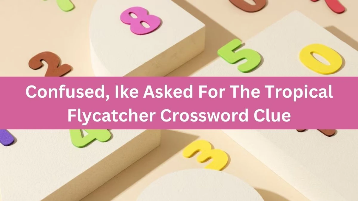 Confused, Ike Asked For The Tropical Flycatcher Crossword Clue Puzzle Answer from October 03, 2024