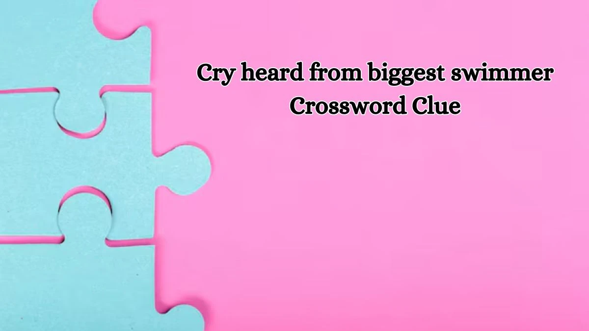 Cry heard from biggest swimmer Crossword Clue Puzzle Answer from October 13, 2024