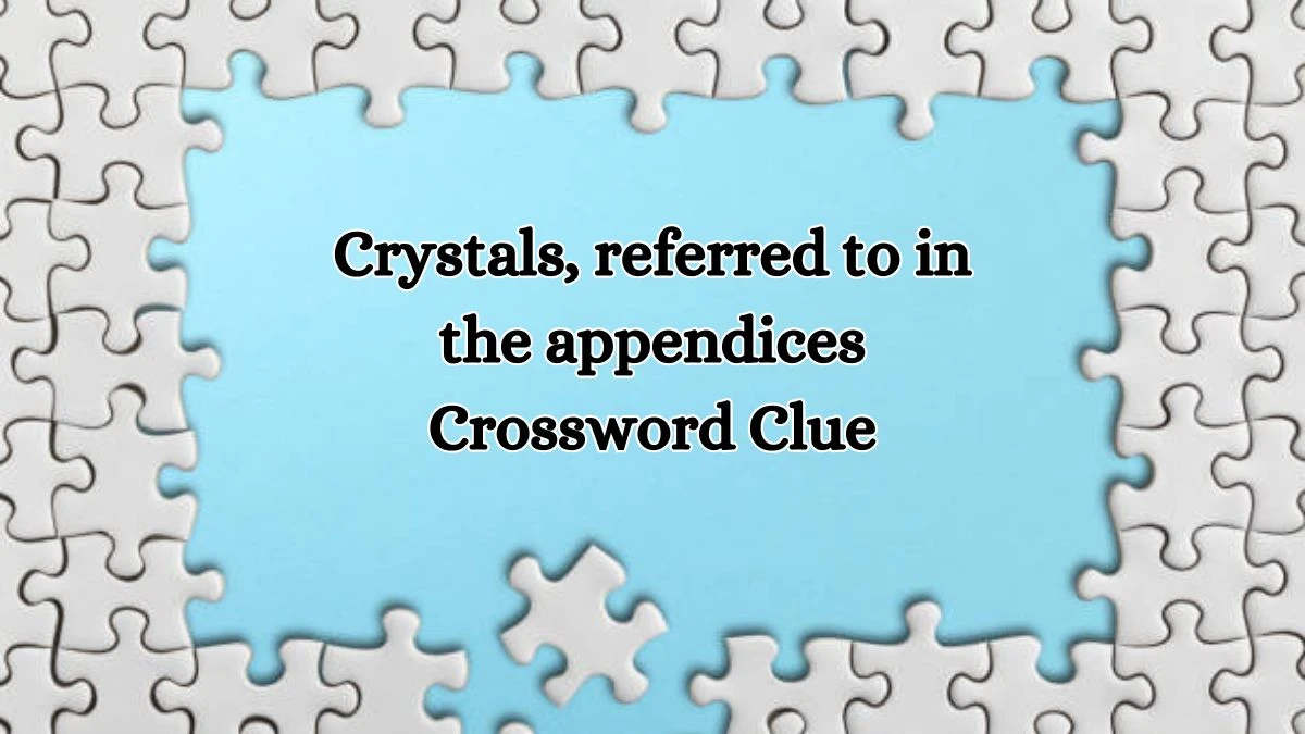 Crystals, referred to in the appendices Crossword Clue Puzzle Answer from October 19, 2024