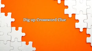 Dig up 6 Letters Crossword Clue Puzzle Answer from October 17, 2024