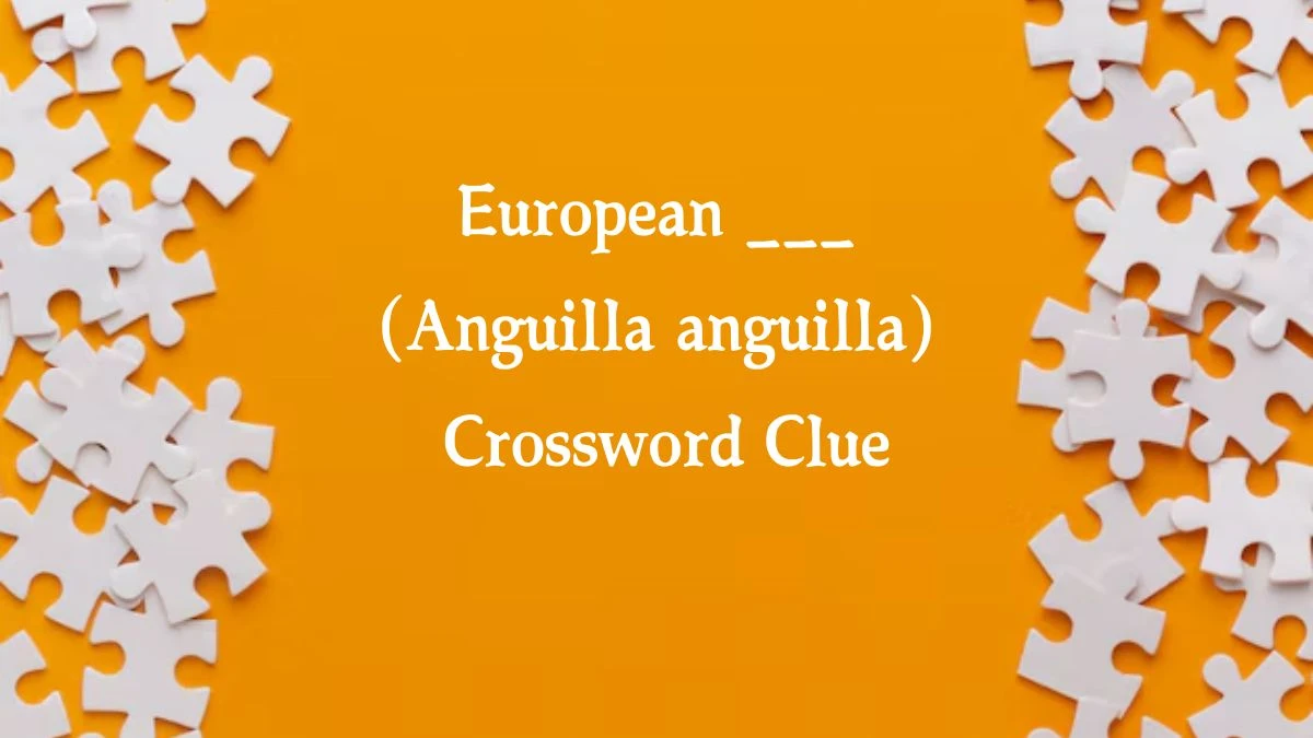 European ___ (Anguilla anguilla) NYT Crossword Clue Puzzle Answer from October 21, 2024