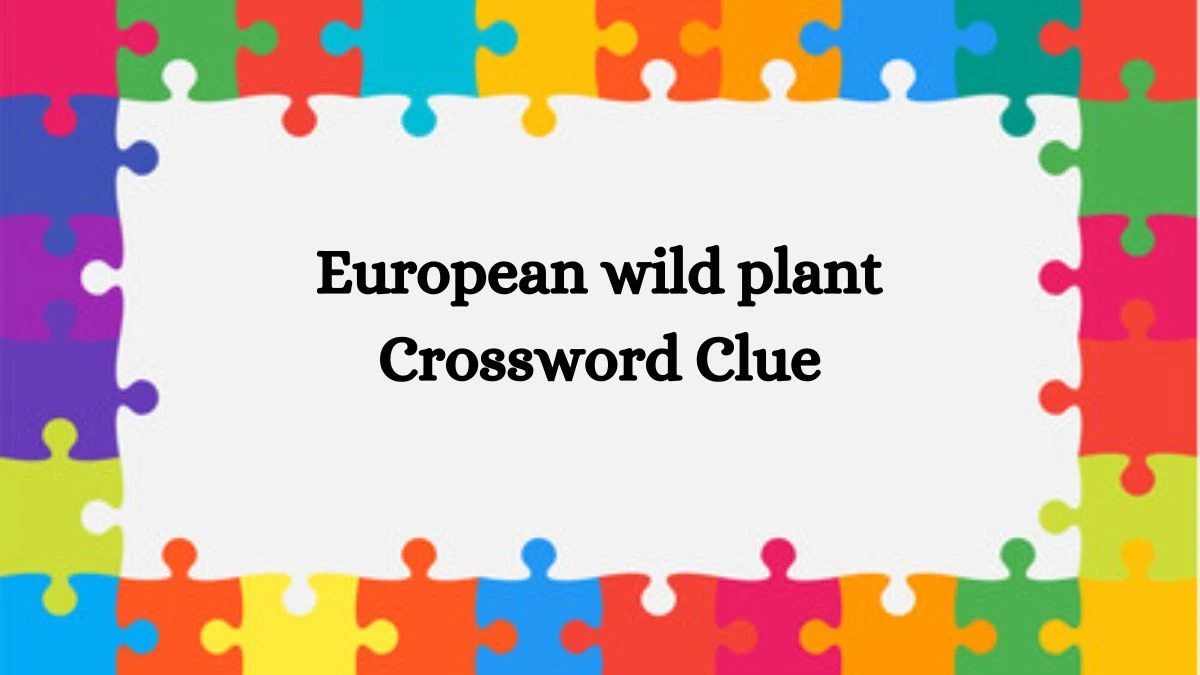 Irish Daily Mail Quick European wild plant Crossword Clue Puzzle Answer from October 03, 2024