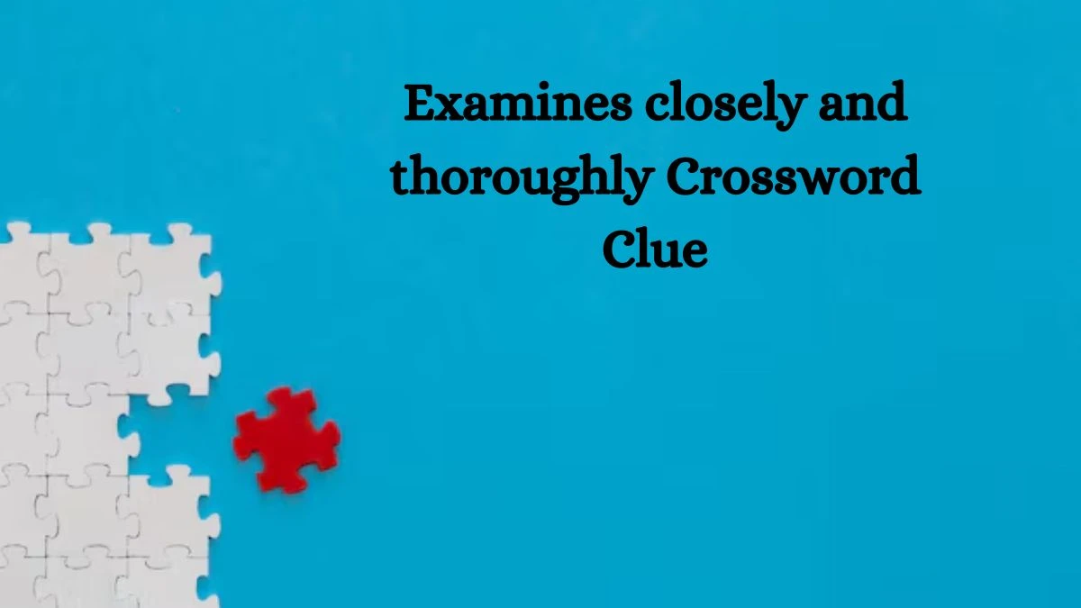 Examines closely and thoroughly 11 Letters Crossword Clue Puzzle Answer from October 10, 2024