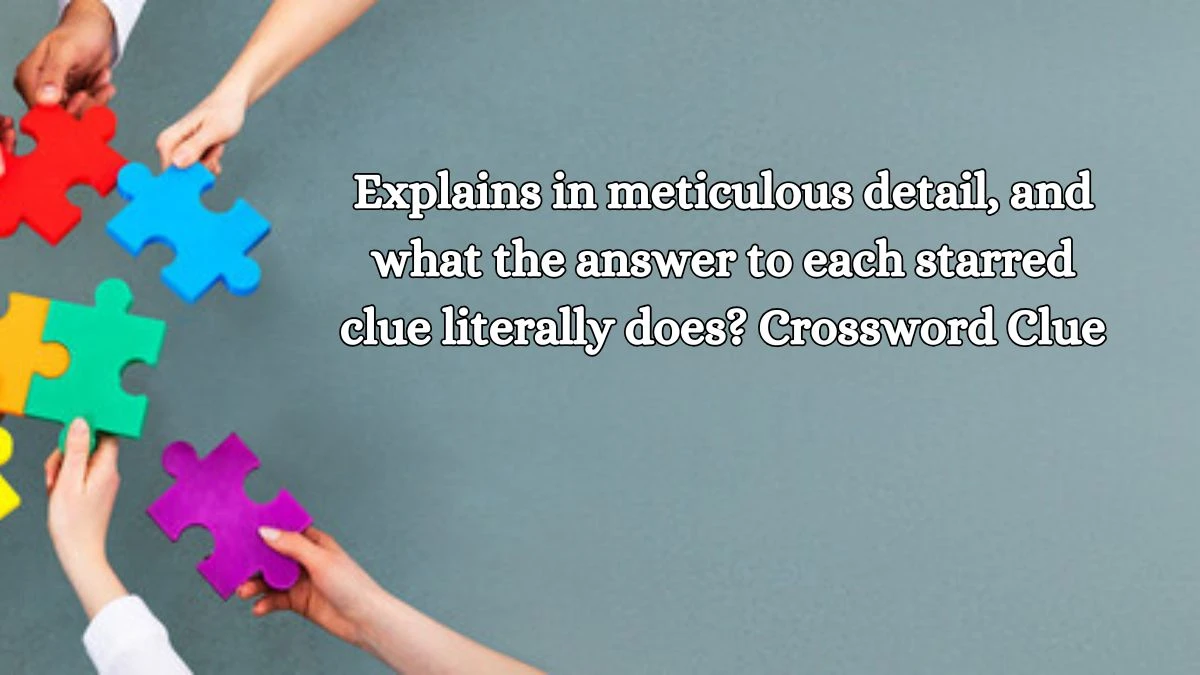 LA Times Explains in meticulous detail, and what the answer to each starred clue literally does? Crossword Clue Puzzle Answer from October 17, 2024