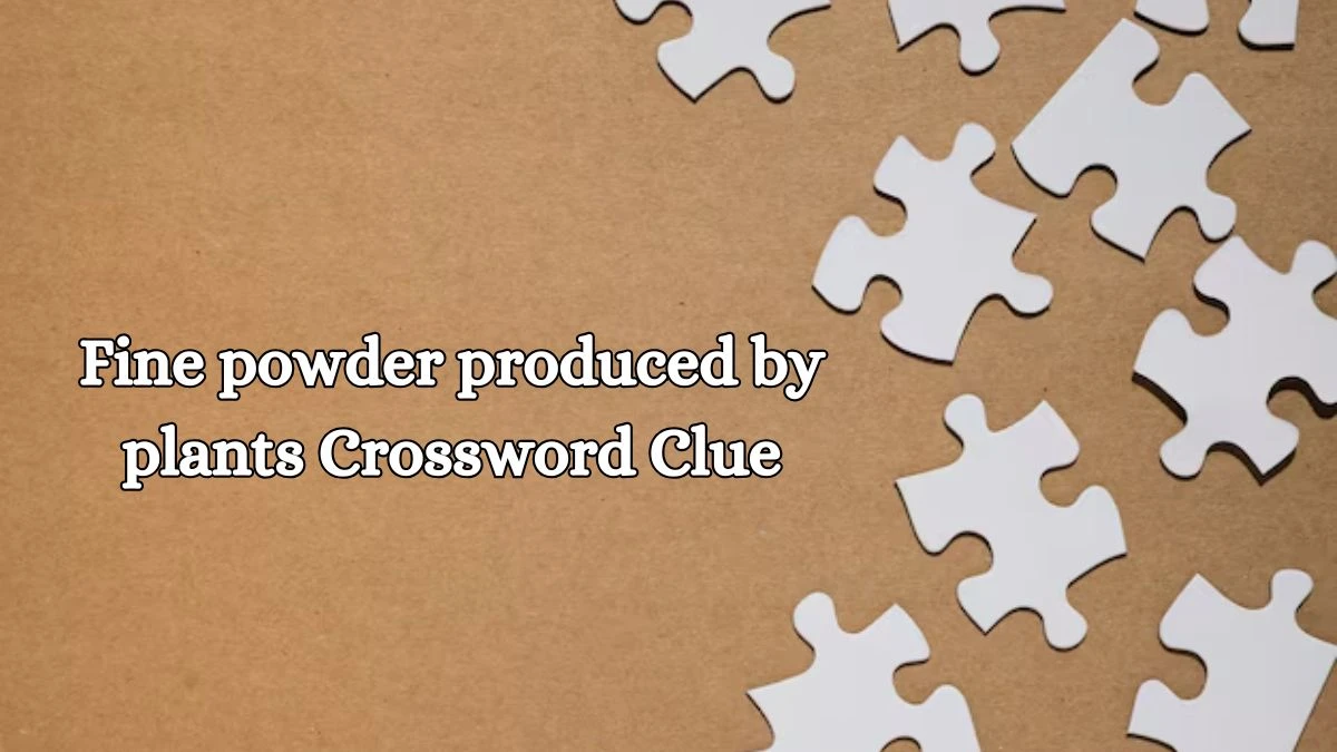 Irish Daily Mail Quick Fine powder produced by plants Crossword Clue Puzzle Answer from October 21, 2024