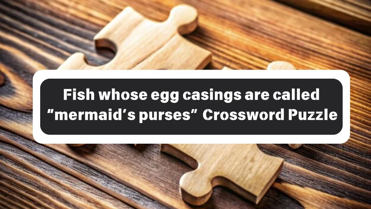 NYT Fish whose egg casings are called “mermaid’s purses” Crossword Clue Puzzle Answer from October 26, 2024