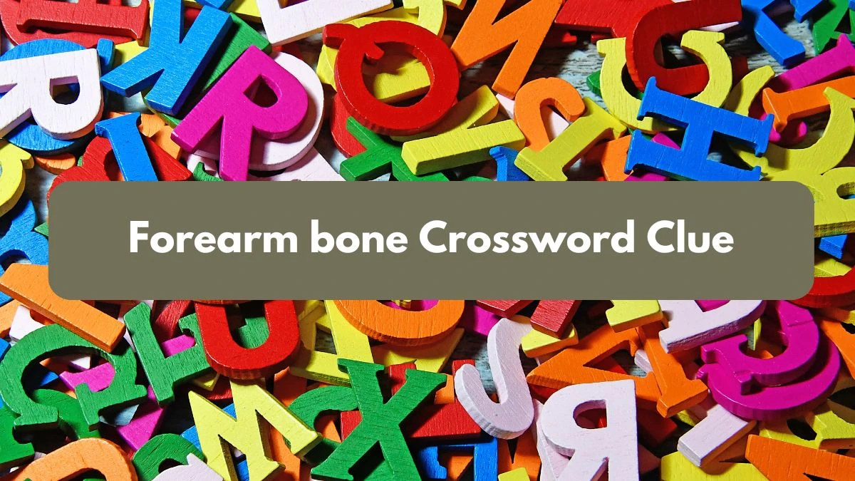 Irish Daily Mail Quick Forearm bone 4 Letters Crossword Clue Puzzle Answers from October 13, 2024