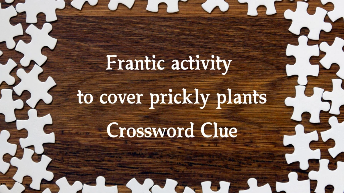 Frantic activity to cover prickly plants Crossword Clue Puzzle Answer from October 22, 2024