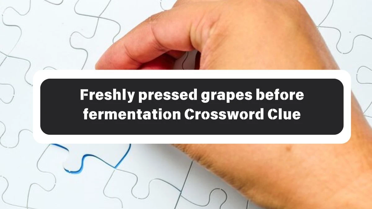 Freshly pressed grapes before fermentation NYT Crossword Clue Puzzle Answer on October 26, 2024