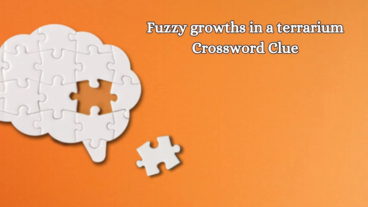 LA Times Fuzzy growths in a terrarium Crossword Puzzle Answer from October 17, 2024