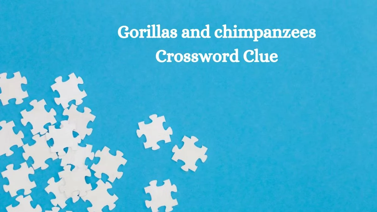 Gorillas and chimpanzees 7 Little Words Puzzle Answer from October 09, 2024