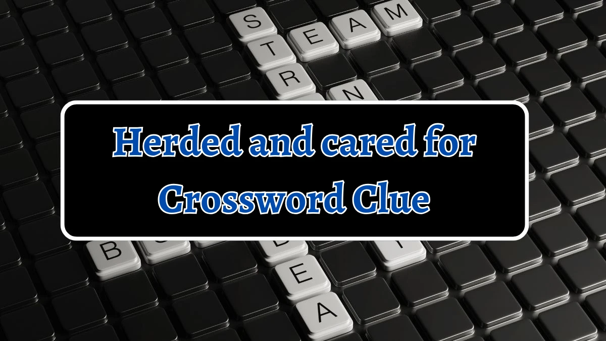 Herded and cared for 7 Little Words Puzzle Answer from October 05, 2024