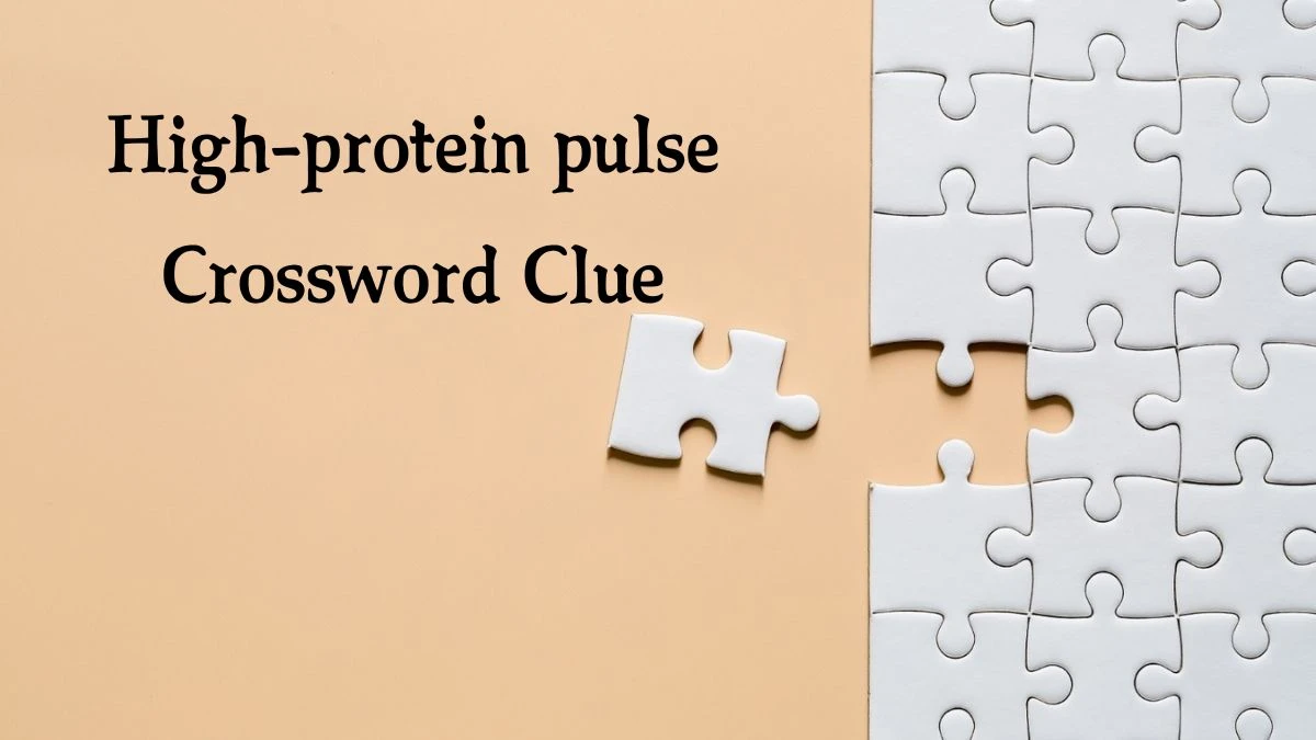 High-protein pulse Irish Daily Mail Quick Crossword Clue Puzzle Answer from October 08, 2024