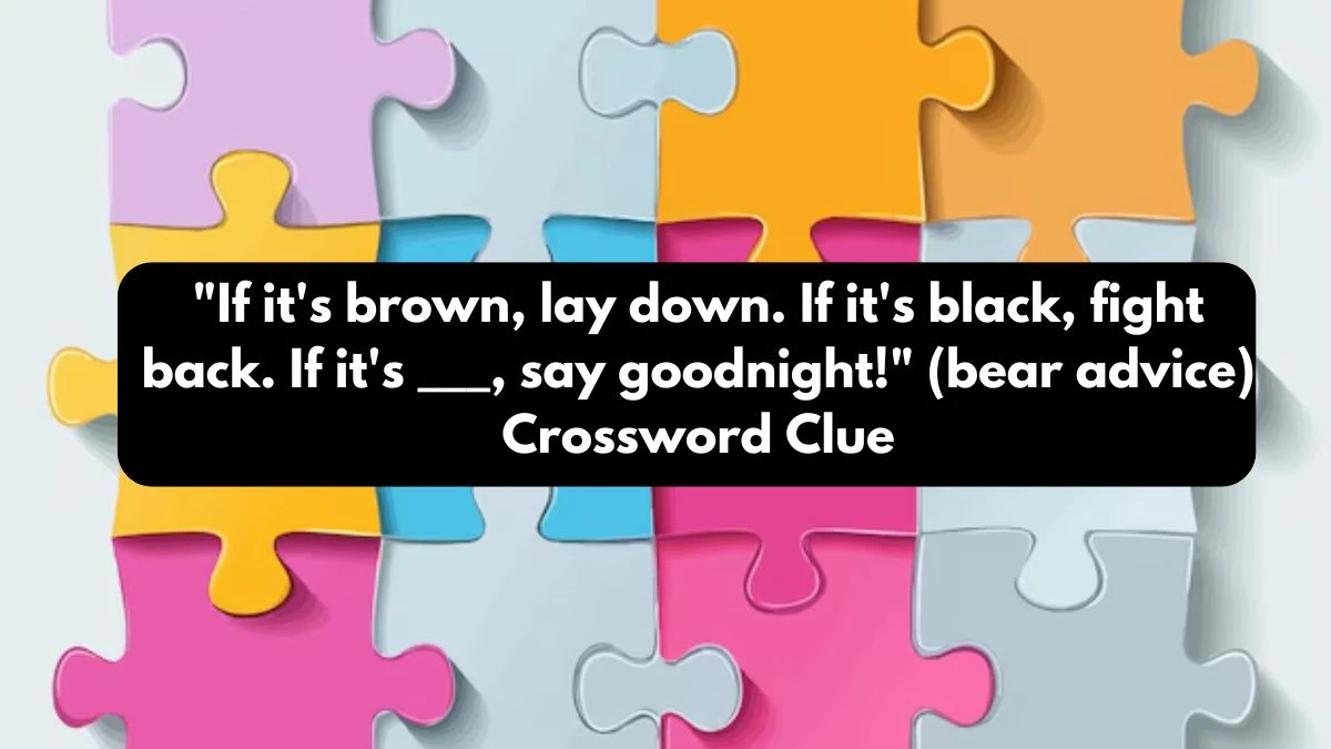 NYT If it's brown, lay down. If it's black, fight back. If it's ___, say goodnight! (bear advice) Crossword Clue Puzzle Answer from October 24, 2024