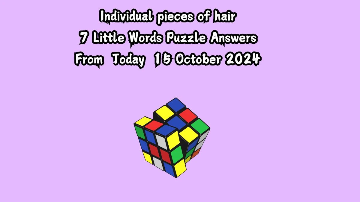 Individual pieces of hair 7 Little Words Puzzle Answer from October 15, 2024