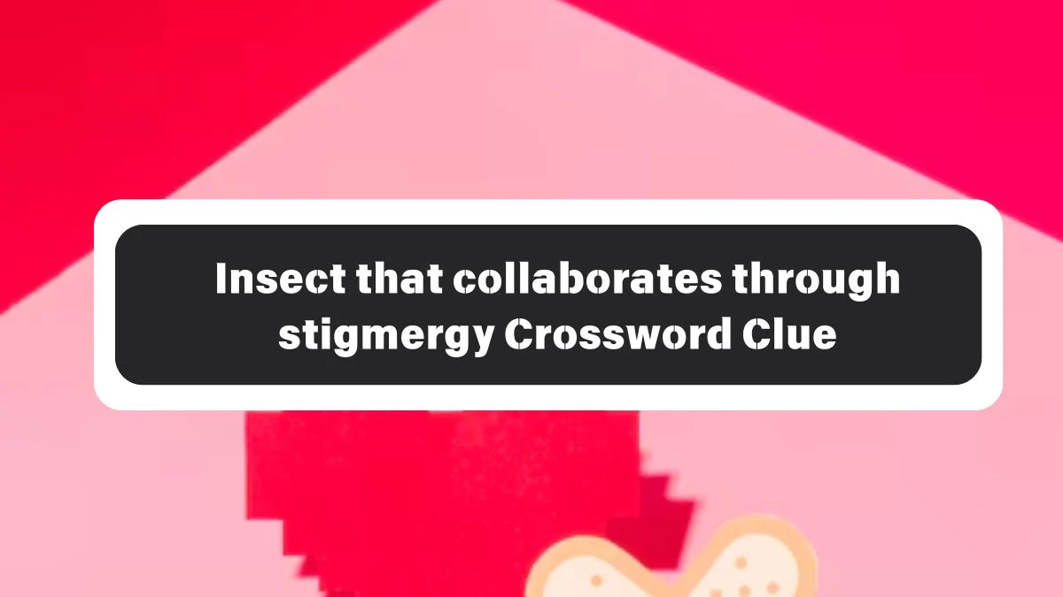 LA Times Insect that collaborates through stigmergy Crossword Clue Puzzle Answer from October 26, 2024