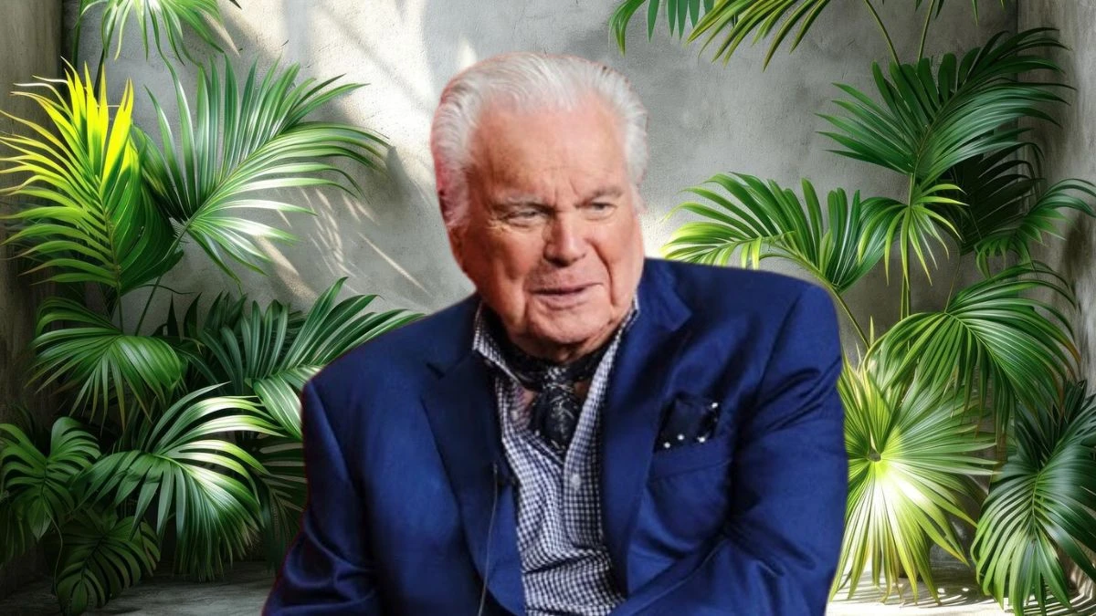 Is Robert Wagner Still Alive? How Old is the Actor Robert Wagner?