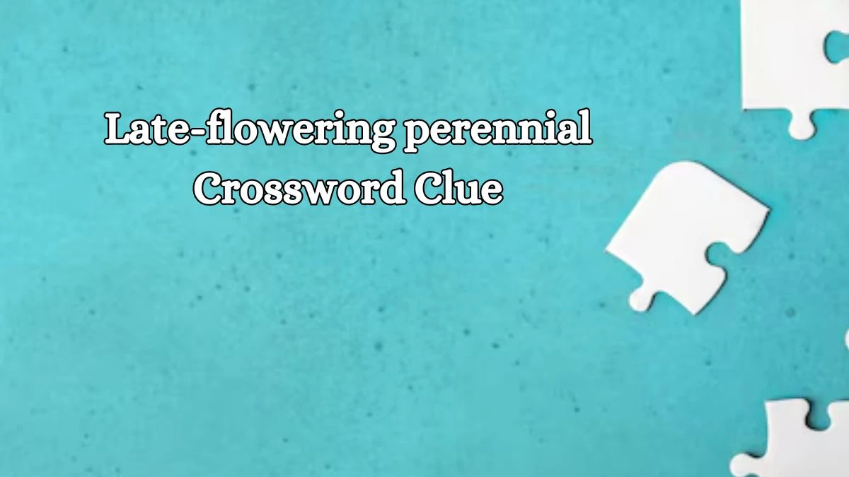 Irish Daily Mail Quick Late-flowering perennial 9 Letters Crossword Clue Puzzle Answers from October 14, 2024