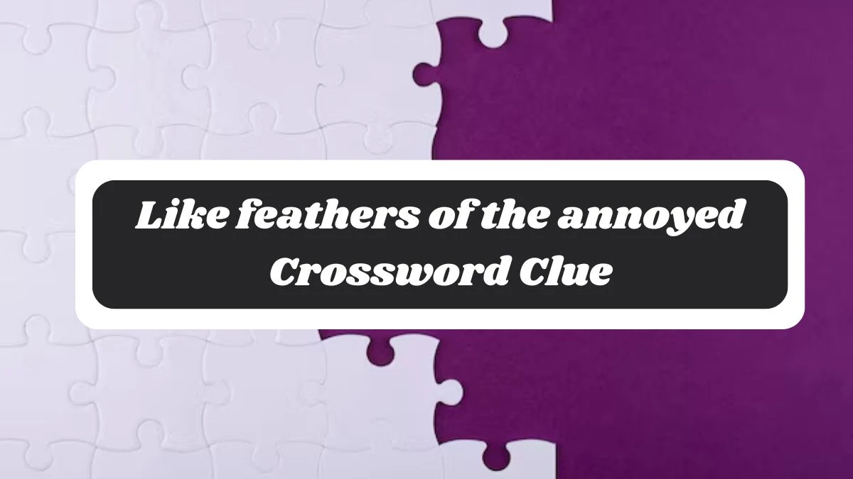 Like feathers of the annoyed 7 Little Words Puzzle Answer from October 29, 2024