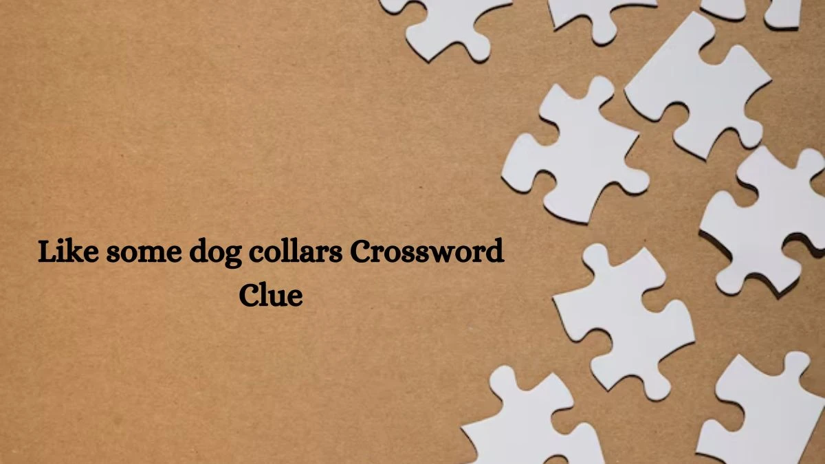 Like some dog collars NYT Crossword Clue Puzzle Answer from October 03, 2024