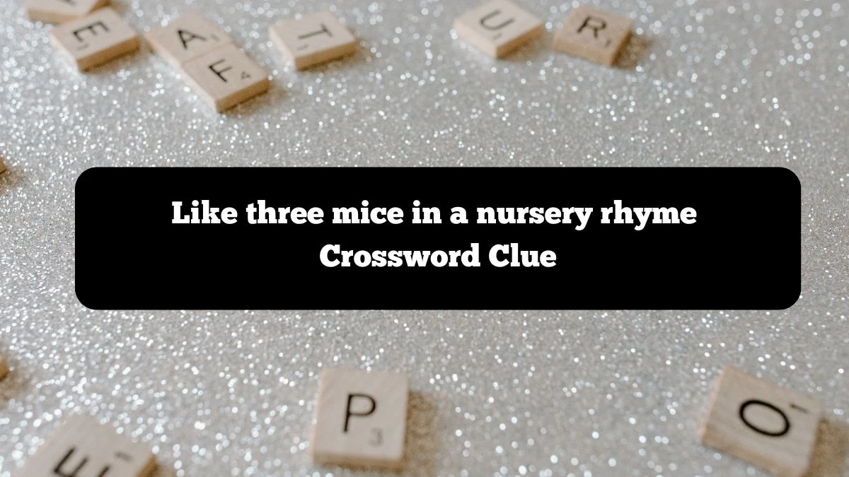 Like three mice in a nursery rhyme NYT Crossword Clue Puzzle Answer from October 07, 2024