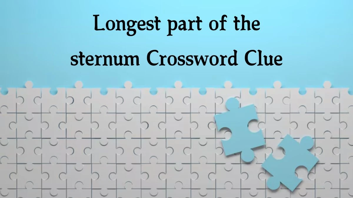 Longest part of the sternum 7 Little Words Puzzle Answer from October 09, 2024