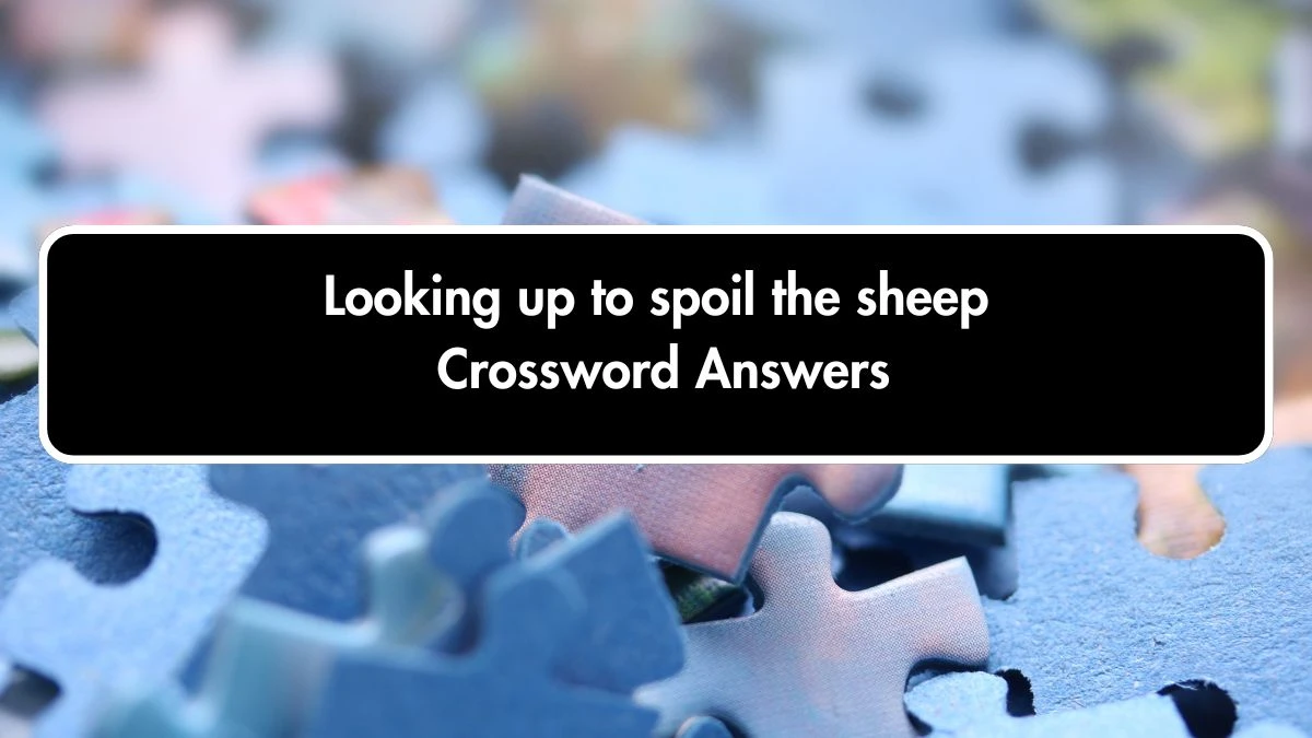 Looking up to spoil the sheep Crossword Clue Puzzle Answer from October 02, 2024